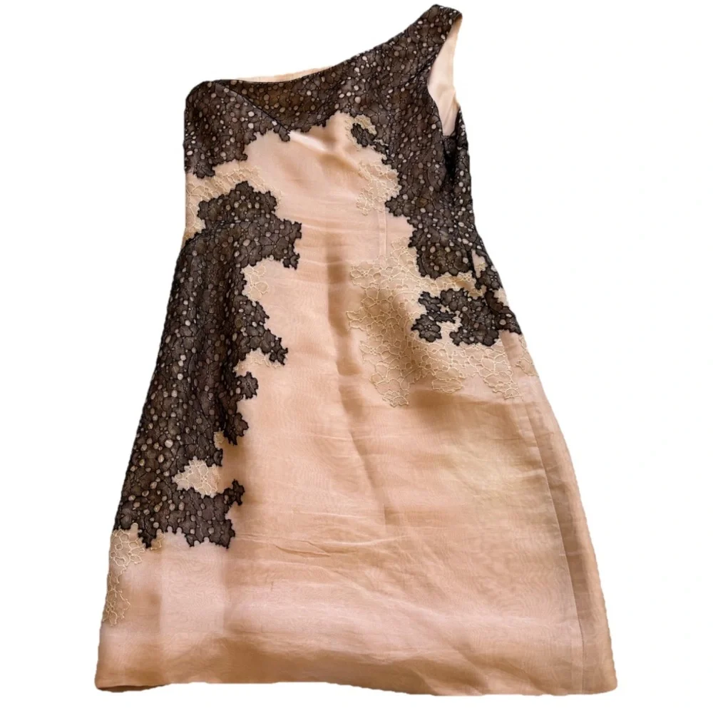 J. Mendel One-Shoulder Dress in Blush w/ Black Lace Detailing Size 6 Silk Chic - Picture 2 of 5